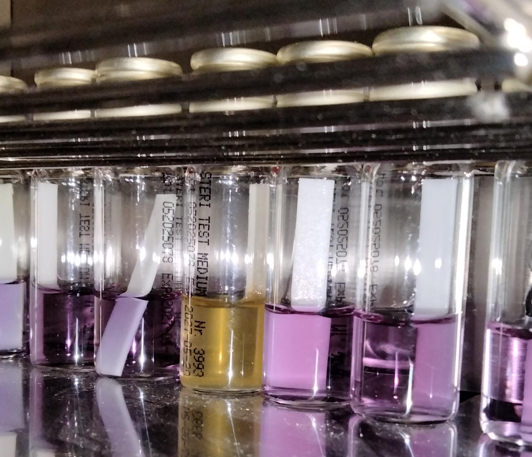 Five Methods of Testing Disinfection Efficacy in the Real World