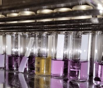 Microbial testing