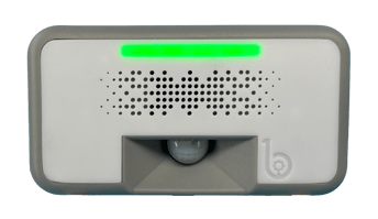 Breezy Sense_transparent Breezy Sense_transparent