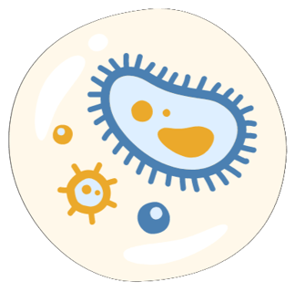 germs_square germs_square